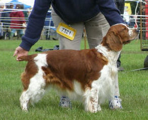Oliver - Leeds 07 gallery.jpg - 28902 Bytes